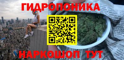 ГАЛЛЮЦИНОГЕННЫЕ ГРИБЫ Будённовск