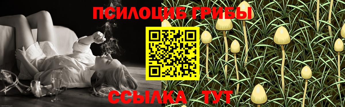 Мариинск  где купить   Вход с VPN  Галлюциногенные грибы прущие грибы 